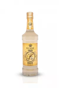 Zencefil Şurubu 700 ml - Kokteyl ve Kahve Kullanımı İçin Profesyonel Aroma
