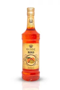 Mango Şurubu 700 ml - Kokteyl ve Kahve Kullanımı İçin Profesyonel Aroma